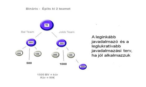 binaris5.jpg